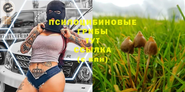 герыч Алексеевка